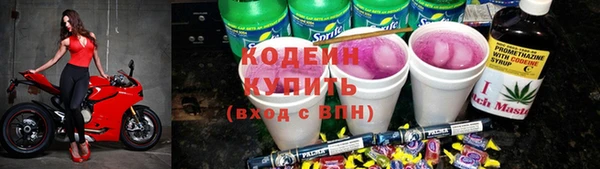 твердый Гусев