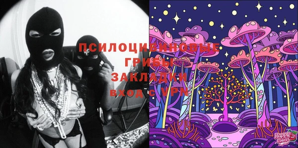 твердый Гусев