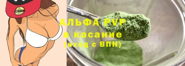 прущие грибы Горняк
