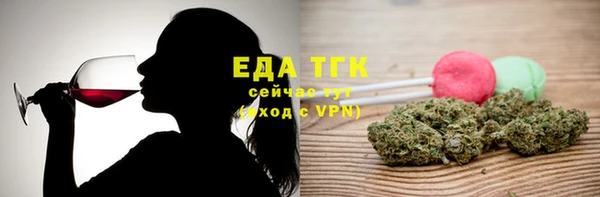 гидра Горнозаводск