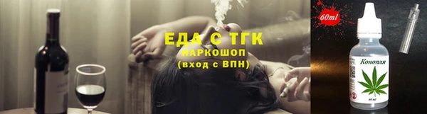 твердый Гусев