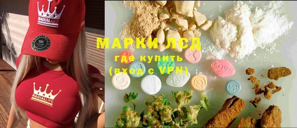 прущие грибы Горняк