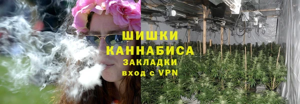 гидра Горнозаводск