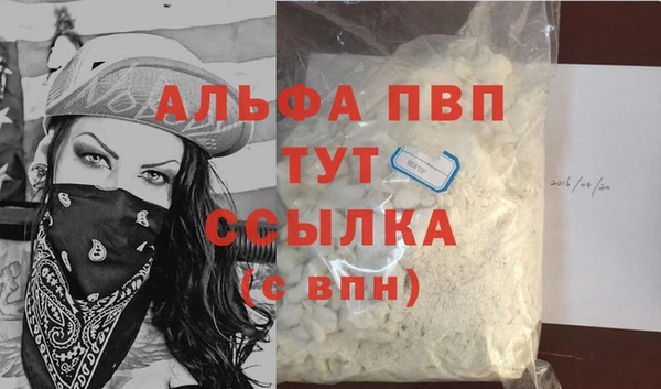 прущие грибы Горняк