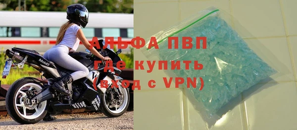 твердый Гусев