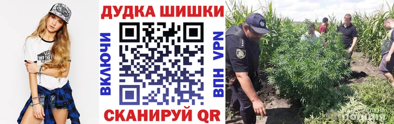 Шишки марихуана SATIVA & INDICA  Купить где  Гуково